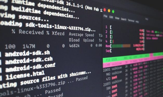 Probar comandos de Linux en tu servidor sin ejecutarlos
